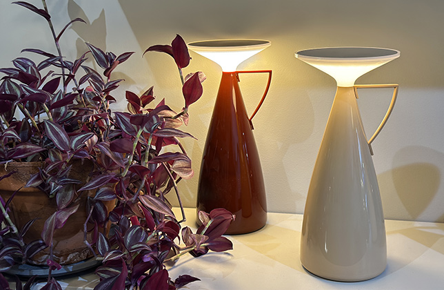 produit-camomille-Mise-en-situation-1