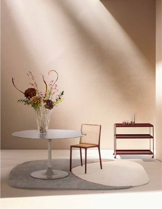 produit-trays-new-Mise-en-situation-6