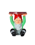 produit-gnomes-Grande-Photo-1-miniature